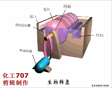 35、生物轉(zhuǎn)盤(pán)構(gòu)造.gif