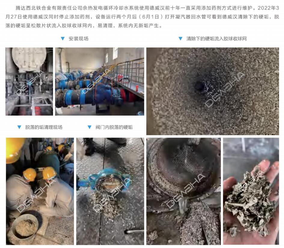 QQ截圖20241205145136.jpg